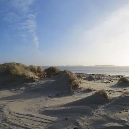 Duenem-kniep-og-re * Nebel