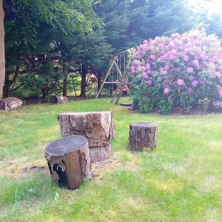 Duenem-kniep-og-re *