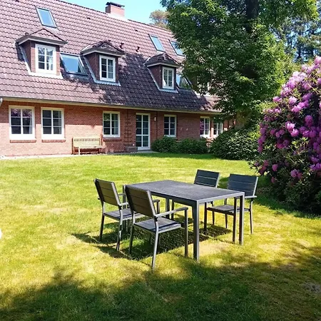 Duenem-kniep-og-re * Nebel