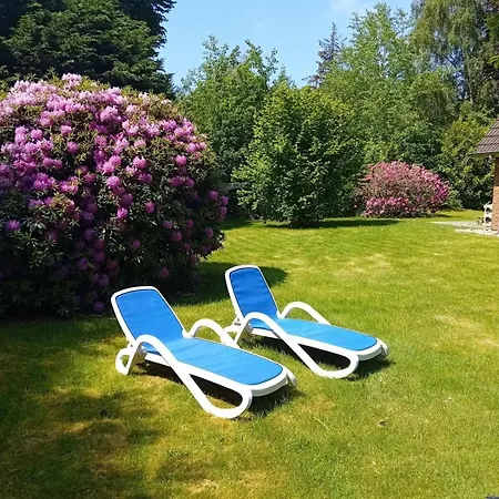 Duenem-kniep-og-re *