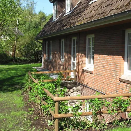 Duenem-kniep-og-re Nebel