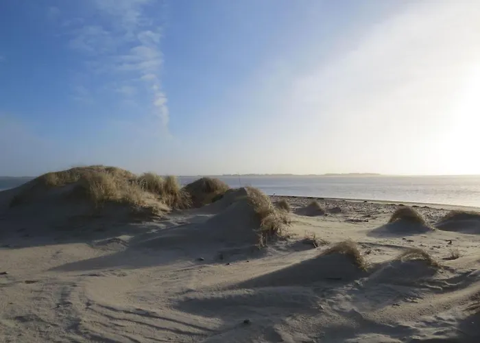 Duenem-kniep-og-re * Nebel